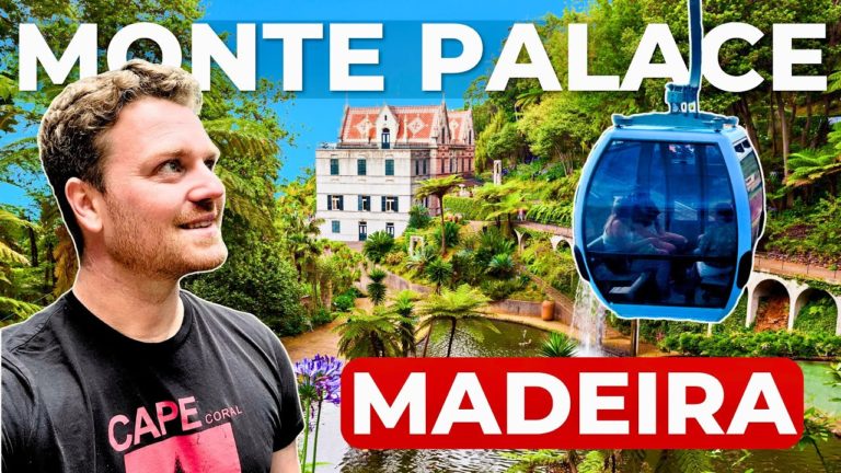 If You Visit Madeira, Do This… 🇵🇹 Funchal’s Best Day Trip