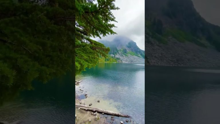 👀Watch this to find out why you should hike in Washington🏔️#shorts #travel #hiking #adventure #pnw