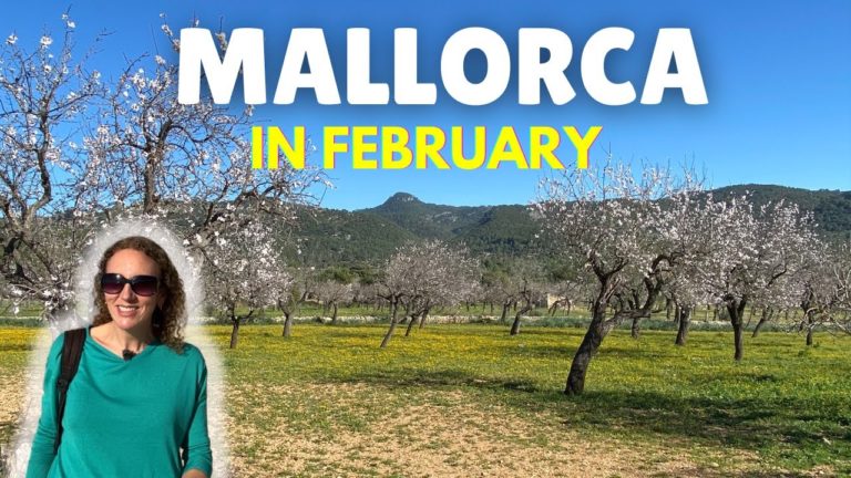 Should you visit Mallorca in February 2024?