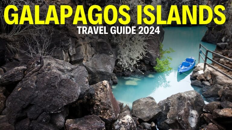 The Galapagos Islands Travel |  Your Ultimate Travel Guide!