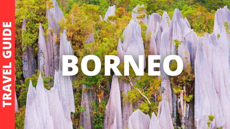 Borneo Malaysia Travel Guide: 17 BEST Things To Do In Borneo