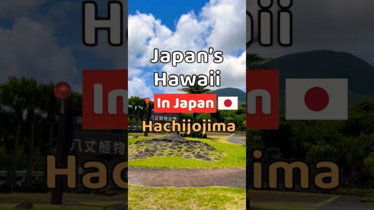 Tokyo’s Hidden Pacific Island | HACHIJOJIMA Island🇯🇵Japan’s Hawaii  #shorts #Japan #hachijojima