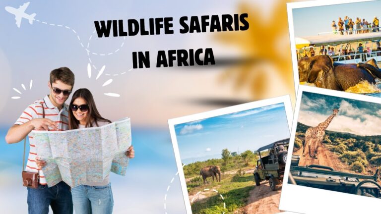 5 LIFE CHANGING Wildlife Encounters in Africa