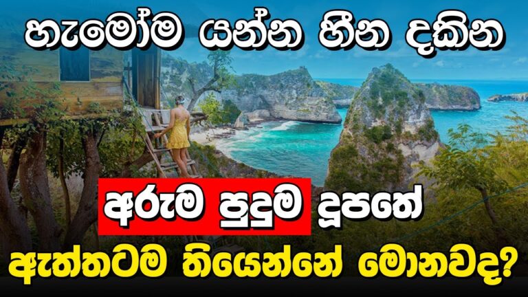 මැ!රෙන්න කලින් එක පාරක් හරි යන්න ඕන තැනක්  | Bali Island Indonesia |