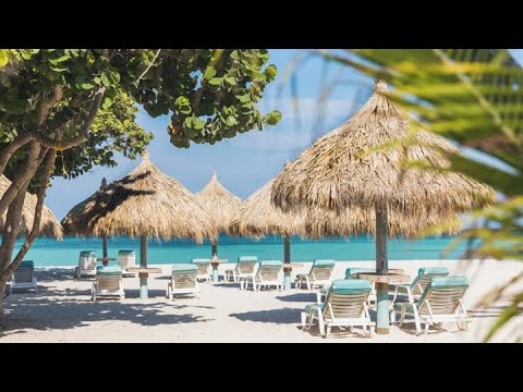 Boardwalk Boutique Hotel Aruba – Adults Only All You Need To Know (Tour)