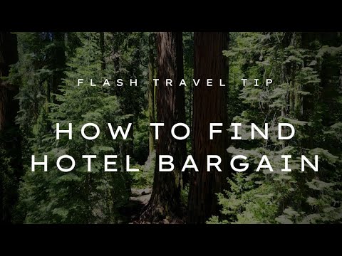 Flash Travel Tip EP2- the 7 things you should do to get a FREE or CHEAP hotel bargain. Guaranteed!!