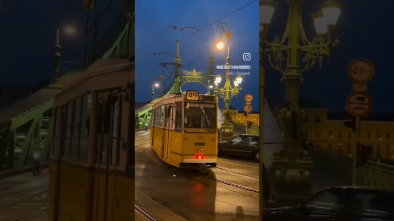 BUDAPEST PONTE DELLA LIBERTA